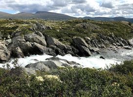 Oppdal Safari