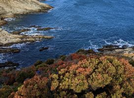Southern Ocean Walk