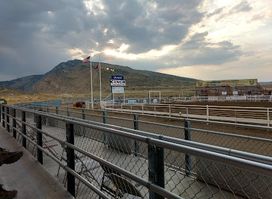 Stampede Park