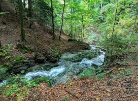 Schluchtenweg Sevelen