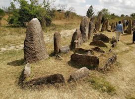 Tiya World Heritage Site