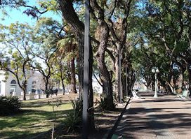 Plaza Hargain