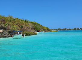 Sun Tropical Tours