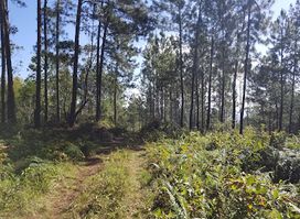 Bull Head Mountain