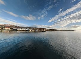 Icelandic Seal Center