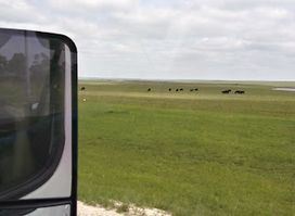Bluestem Pasture Region