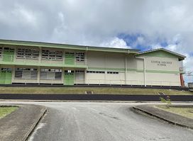 The Lester Vaughan School Storm