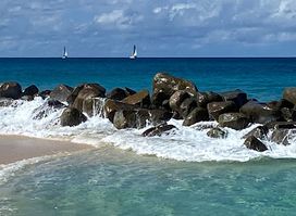 The Half Shell Beach Bar