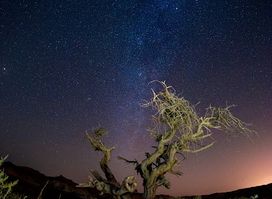 Arava Stars