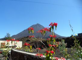 Qualitur viagens e turismo