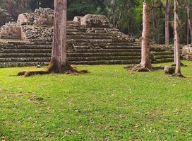Templo 16