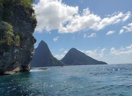 Real Deal Boat Tours