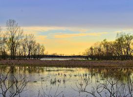 Killdeer Plains Wildlife Area
