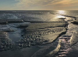 Waddenvereniging
