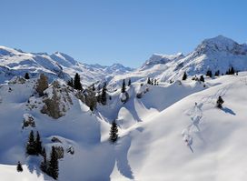 Ski Arlberg West GmbH