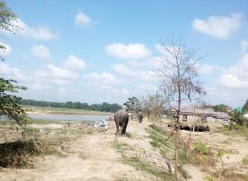The Chitwan Jungle Guides(Crazy Tiger's Trek & Tours)