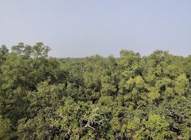 Sundarban Bangladesh Part