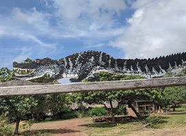 Caiman House Field Station - Conservation related research and ecotourism since 2005