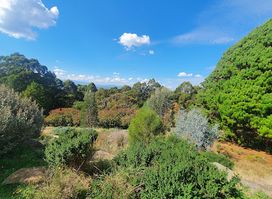 Dandenong Ranges Botanic Garden
