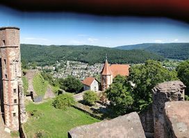 Dilsberg Castle