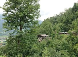 Mühlen am Höhenweg