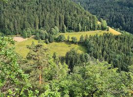 Nationalpark Schwarzwald