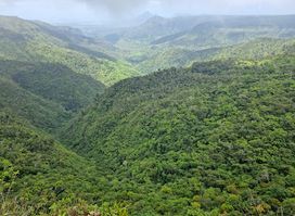 Gorges Viewpoint
