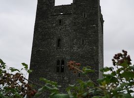 Roodstown Castle