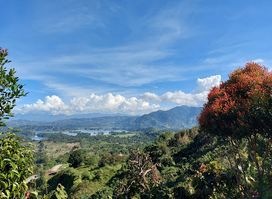 Sebul Cacao Farm