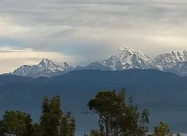 Kausani Tea Estate