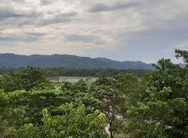 Golaghat view tower