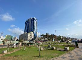 Back beach 貝殼海岸