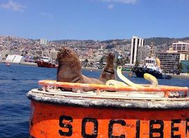 Valparaíso