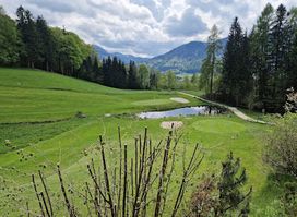 Die Waldhof Alm