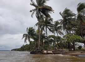 Galibi Nature Reserve