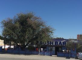 Bush Bar