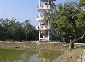 The Sundarbans (Bangladesh)