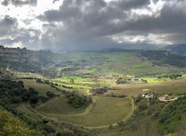Finca Descalzos Viejos