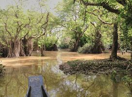 Ratargul Holiday Home