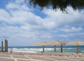 Playa Camel En Haifa