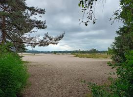 Wandelroute Lange Duinen