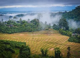 Thailand Mountain Trail