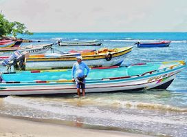 Captain Dennis Boat Tours