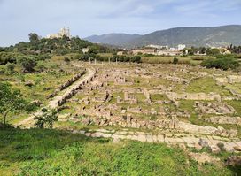 Ruins of Hippo (Hippo Regius)