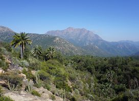 Parque Nacional La Campana