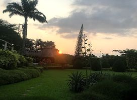 Jhalobia Landscaping Company and Botanical Garden in Lagos,Nigeria