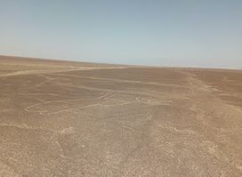 The Hummingbird (Nazca Lines)