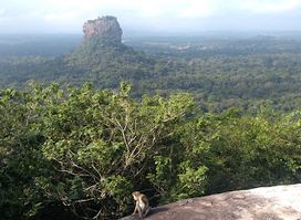 Pidurangala Rock Temple Ticket Office (LKR.1000.00 per tourists person)