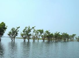 Sylhet division