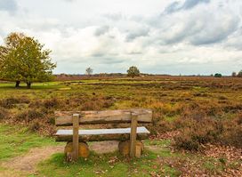 Ermelo sheepfold